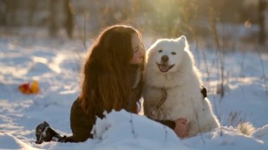 Favori Samoyed hayvanınla kış yürüyüşü. Köpekleri severim. Noel beklentisiyle köpeği gezdiriyorum..