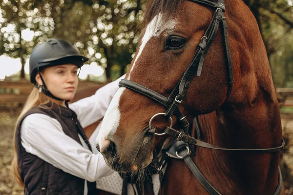 A young woman jockey adjusts the harness on her horse before training. Preparing for an equestrian competition.