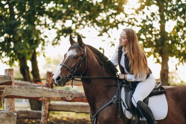 A young female jockey is sitting on her horse in show jumping training. Preparing for the competition. Love for horses.
