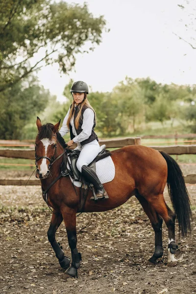 Young Female Jockey Sitting Her Horse Show Jumping Training Preparing — Zdjęcie stockowe