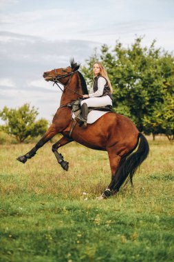 A young female jockey is sitting on her horse in show jumping training. The horse rears up. Preparing for the competition. Love for horses.