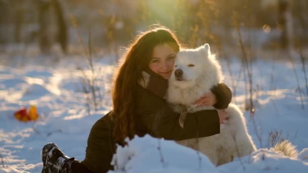 Vinter Promenad Med Din Favorit Samoyed Husdjur Kärlek Till Hundar — Stockvideo