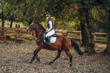 Genç ve güzel bir kadın jokey bir gösteri atlama yarışmasına hazırlanıyor. Bir kadın binici kahverengi bir yarış atı sürüyor. Kadın jokey ata biniyor.