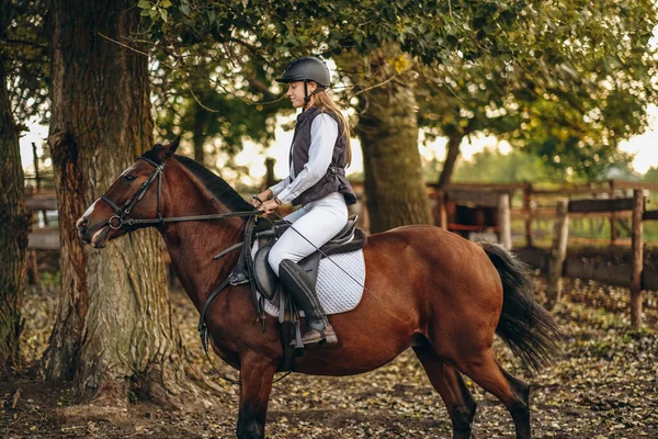 A young beautiful woman jockey is preparing for a show jumping competition. A woman rider rides a brown racehorse. Woman jockey rides a horse.