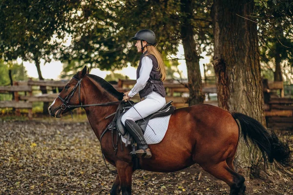 Genç ve güzel bir kadın jokey bir gösteri atlama yarışmasına hazırlanıyor. Bir kadın binici kahverengi bir yarış atı sürüyor. Kadın jokey ata biniyor.