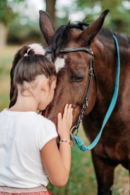 Cute little girl stroking a horse's head on a farm in the countryside in summer. Love for horses.