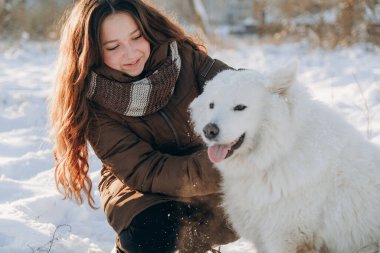 Favori Samoyed hayvanınla kış yürüyüşü. Köpekleri severim. Noel beklentisiyle köpeği gezdiriyorum..
