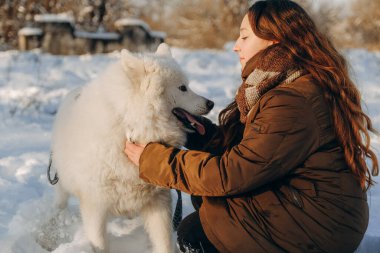 Favori Samoyed hayvanınla kış yürüyüşü. Köpekleri severim. Noel beklentisiyle köpeği gezdiriyorum..