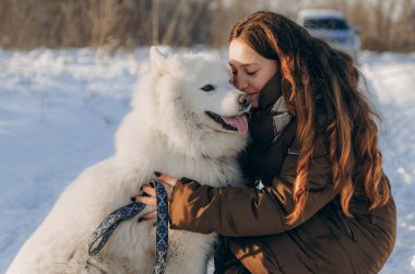 Favori Samoyed hayvanınla kış yürüyüşü. Köpekleri severim. Noel beklentisiyle köpeği gezdiriyorum..