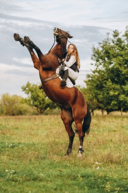 A young female jockey is sitting on her horse in show jumping training. The horse rears up. Preparing for the competition. Love for horses.