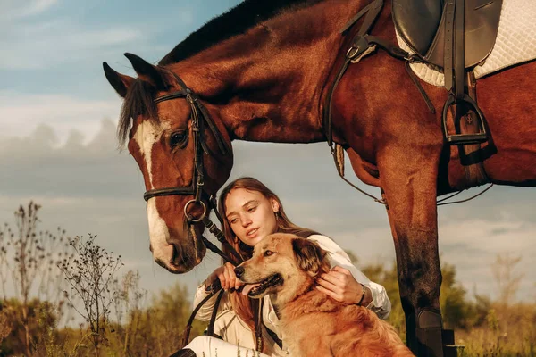 Young Beautiful Woman Jockey Her Dog Sits Meadow Her Horse — Stock fotografie