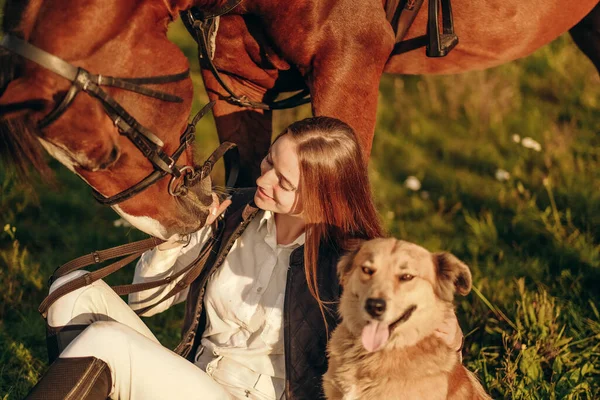 Young Beautiful Woman Jockey Her Dog Sits Meadow Her Horse — Stock Fotó