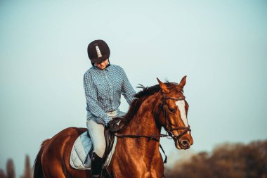 Genç bayan sporcu ata biniyor. Baharda sahada atlama eğitimi. At biniciliği. Sporda cinsiyet eşitliği.
