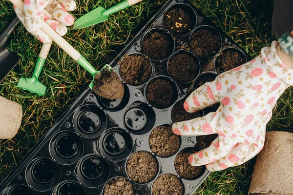 A woman prepares the ground for planting seeds in cells in the spring. Close-up hands are running with the earth. Growing a rosad of vegetables and flowers in the spring in a greenhouse.