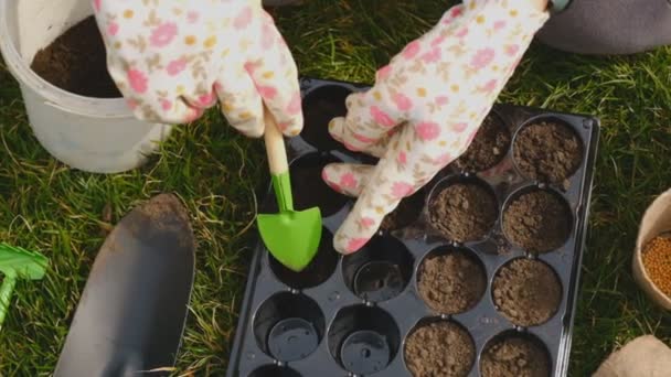 女性は春に細胞に種を植えるための地面を準備します 手を閉じて 地球と一緒に実行されます 温室で春に野菜や花の道を成長させる — ストック動画