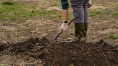Bir kadın tarlada toprağı kazıyor. İlkbaharda tarımda tarım işi. Baharda koyun ekmek için toprağı hazırlıyorum..