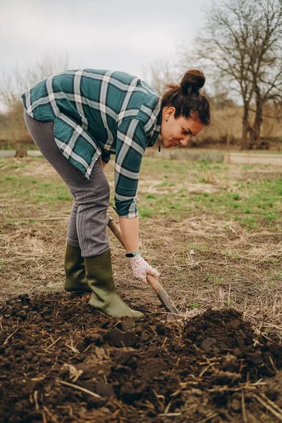 stock image A woman is digging the earth in a field. Agricultural work in the spring in the field. Preparing the land for planting sheep in the spring.