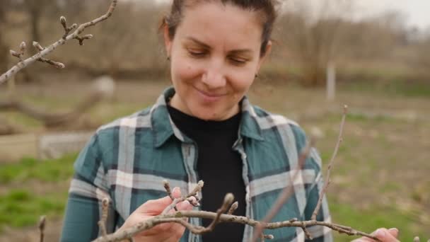 Γυναίκα Αγρότης Εξετάζει Μπουμπούκια Ένα Οπωροφόρο Δένδρο Την Άνοιξη Στον — Αρχείο Βίντεο