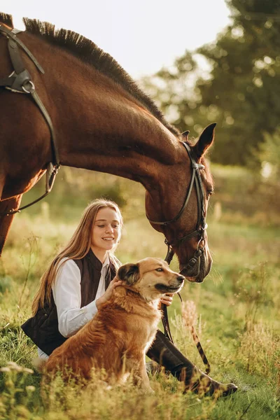 Young Beautiful Woman Jockey Her Dog Sits Meadow Her Horse — Foto de Stock