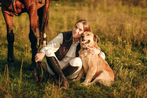 Young Beautiful Woman Jockey Her Dog Sits Meadow Her Horse — Zdjęcie stockowe