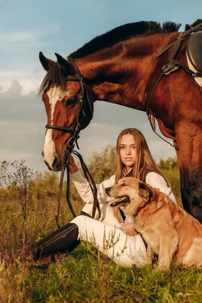 A young beautiful woman jockey with her dog sits in a meadow near her horse at sunset. Walk with a horse in the summer on a meadow.