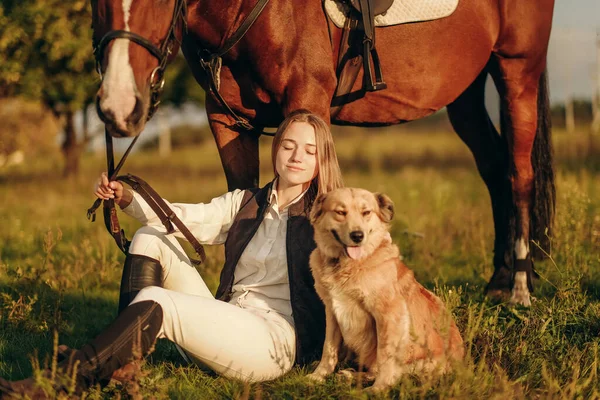 Young Beautiful Woman Jockey Her Dog Sits Meadow Her Horse — стоковое фото