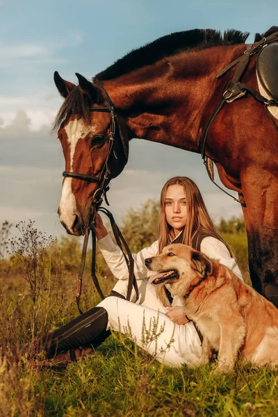 Young Beautiful Woman Jockey Her Dog Sits Meadow Her Horse Rechtenvrije Stockfoto's
