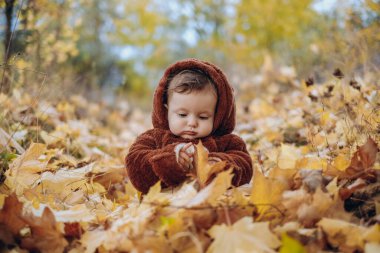 The kid sits in yellow leaves in the park for a walk. Family autumn walk in the evening in the park with children. Happy motherhood.