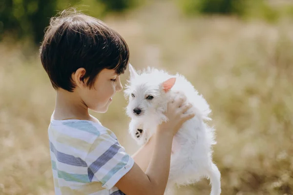 Дружба Дитини Собакою Щасливий Хлопець Який Тримає Цуценя Білого Тер Стокова Картинка