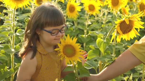 Holčička Downovým Syndromem Chodí Slunečnicovém Poli Dívka Cítí Slunečnici Poli — Stock video