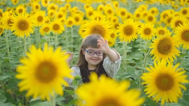 Holčička Downovým Syndromem Chodí Létě Slunečnicovém Poli — Stock video