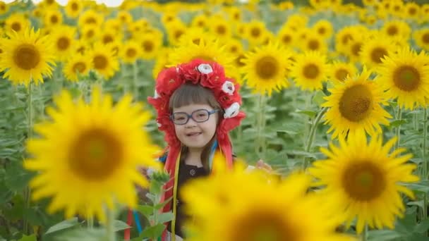 우크라이나어 전통적인 드레스에서 증후군을 소녀는 여름에 해바라기 필드에서 — 비디오