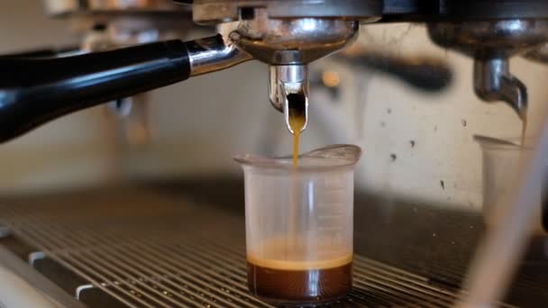 Preparing Morning Coffee Coffee Machine Hot Aromatic Coffee Flows Glass — Stock Video