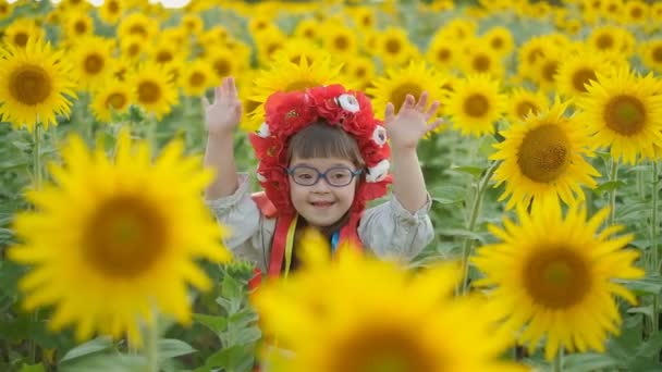 ウクライナの伝統的なヘッドドレスでダウン症候群を持つ小さな少女は夏に花畑を散歩します — ストック動画