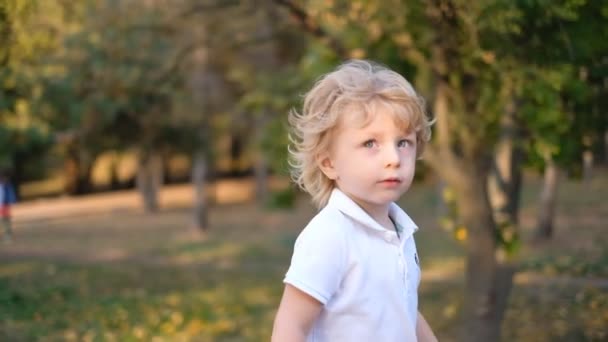 Παιδί Περπατάει Στο Πάρκο Φθινόπωρο Και Μιλάει Μια Βόλτα Ένα — Αρχείο Βίντεο