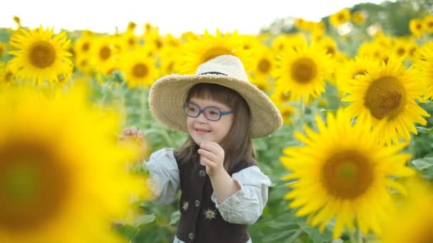 Mała Dziewczynka Zespołem Downa Spaceruje Polu Słoneczników Lecie Zachodzie Słońca — Wideo stockowe