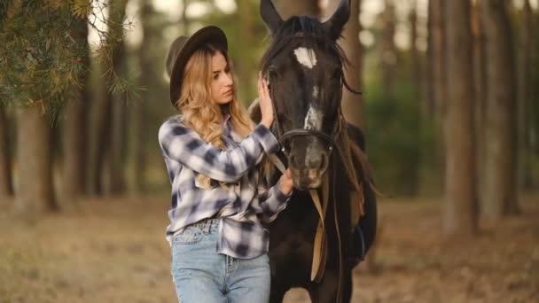 Młoda Piękna Kobieta Siedzi Koniu Jesiennym Lesie Jazda Konna Przygotowanie — Wideo stockowe