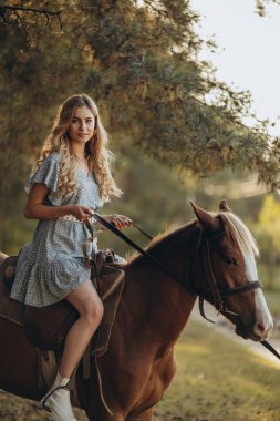 Genç ve güzel bir kadın sonbaharda ormanda ata biner. Sonbaharda akşamları ata binmek. At yarışı sporu için çiftlikte at yetiştiriyorum..