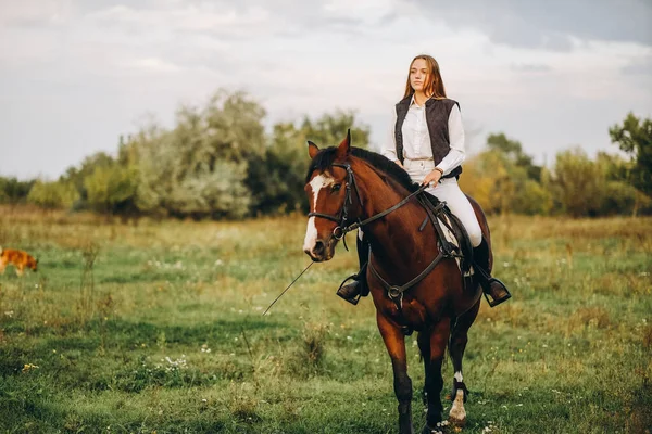 Young Beautiful Blonde Woman Jockey Rides Brown Horse Meadow Sunset Stockfoto