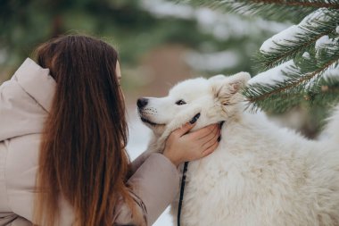 Kışın sevgili evcil hayvanı Samoyed ile parkta bir gölün kıyısında yürüyen bir kız. Kışın köpeği gezdiriyorum..