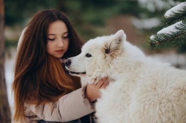 Kışın sevgili evcil hayvanı Samoyed ile parkta bir gölün kıyısında yürüyen bir kız. Kışın köpeği gezdiriyorum..