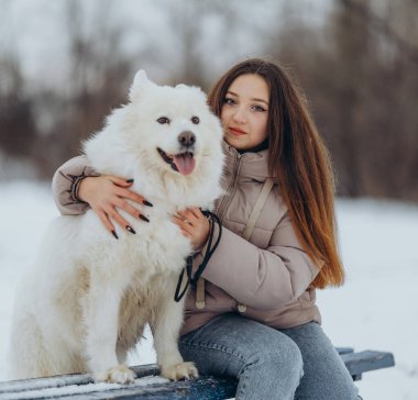 Kışın sevgili evcil hayvanı Samoyed ile parkta bir gölün kıyısında yürüyen bir kız. Kışın köpeği gezdiriyorum..