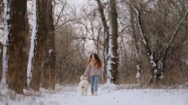Kışın sevgili evcil hayvanı Samoyed ile parkta bir gölün kıyısında yürüyen bir kız. Kışın köpeği gezdiriyorum..