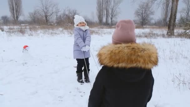 그녀의 여자는 겨울에 공원에서 아이들과 Sledging는 — 비디오