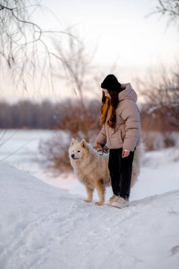 Kışın sevgili evcil hayvanı Samoyed ile parkta bir gölün kıyısında yürüyen bir kız. Kışın köpeği gezdiriyorum..
