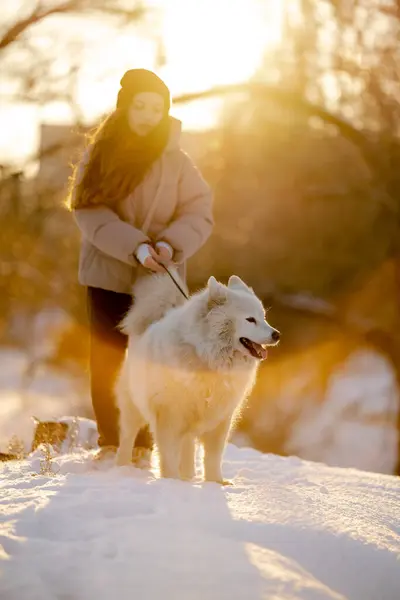 A girl walks with her beloved pet Samoyed in winter on the shore of a lake in the park. Walking the dog in winter.