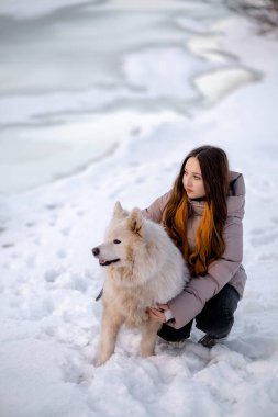 Kışın sevgili evcil hayvanı Samoyed ile parkta bir gölün kıyısında yürüyen bir kız. Kışın köpeği gezdiriyorum..