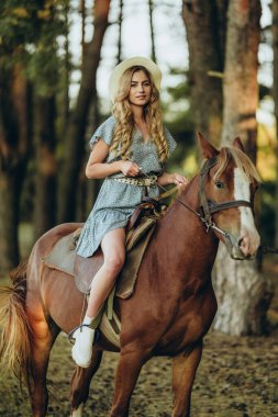 Genç ve güzel bir kadın sonbaharda ormanda ata biner. Sonbaharda akşamları ata binmek. At yarışı sporu için çiftlikte at yetiştiriyorum..