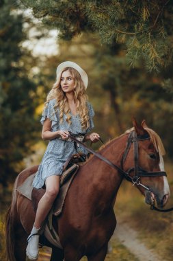 Genç ve güzel bir kadın sonbaharda ormanda ata biner. Sonbaharda akşamları ata binmek. At yarışı sporu için çiftlikte at yetiştiriyorum..