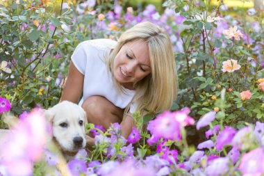 Sonbaharda bir köpek yavrusu labrador parkta oynarken güzel genç kız. Güzel sarışın beyaz labrador ile parkta yürüyor.